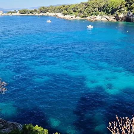 Tribuperez à Juan-antibes * Juan-les-Pins